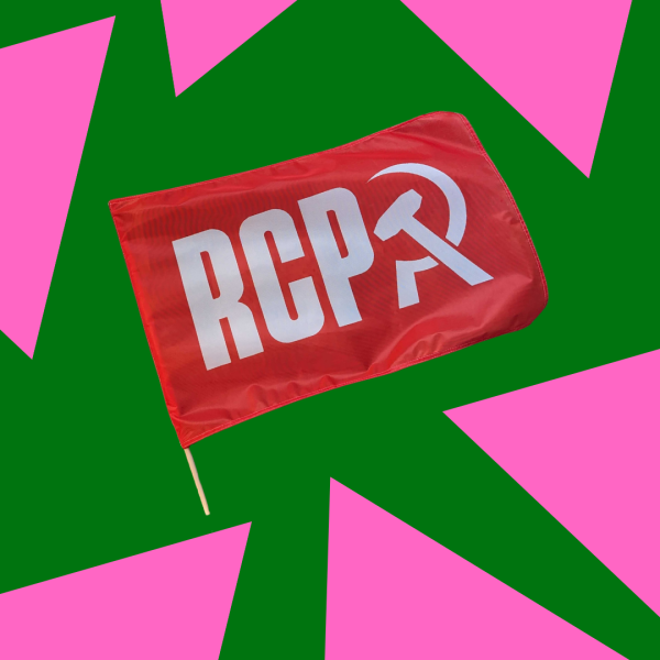 Premium RCP Flag (inc. flagpole)